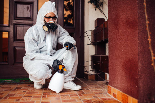 Reliable Ant Control contractor in Clinton, MD by Nex Pest Control